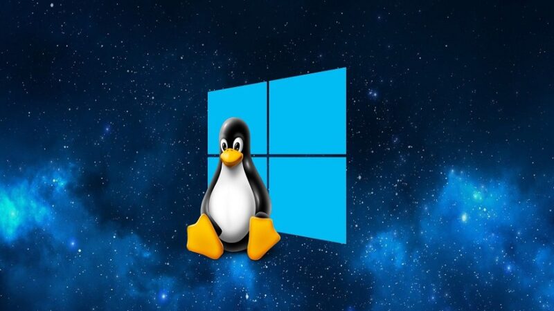 Windows 10 and Linux