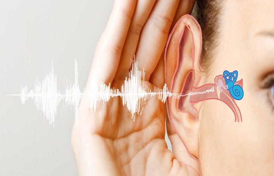 Seven Components That Could Affect Hearing Loss