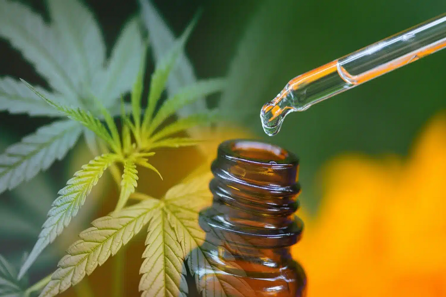 Things to keep in mind regarding cannabidiol oil India